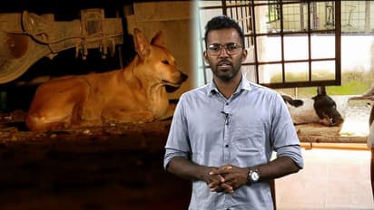 കടിക്കരുത് പട്ടീ, മരുന്നില്ല! പേവിഷ പ്രതിരോധ സിറത്തിന് സംസ്ഥാനത്ത് ക്ഷാമം; ആശുപത്രികളിൽ പരക്കം പാഞ്ഞ് ജനം