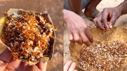 ഉറുമ്പുകള് കൊണ്ട് ചട്ണി; വിചിത്രമായ വിഭവം കഴിച്ചുനോക്കുന്ന യുവതി