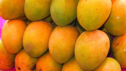 ரசாயனம் மூலம் பழுக்க வைக்கப்பட்ட மாம்பழத்தை கண்டறிவது எப்படி?