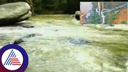 Kodagu: ಕಾವೇರಿ ನೀರು ಕ್ಷೀಣದೊಂದಿಗೆ ನದಿಯ ಬಣ್ಣವೂ ಬದಲು!