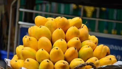 Mangoes On EMI: ರಸಭರಿತ ಮಾವಿನ ಹಣ್ಣು ಈಗ್ಲೇ ತಿನ್ನಿ, ಆಮೇಲೆ ಪಾವತಿಸಿ!