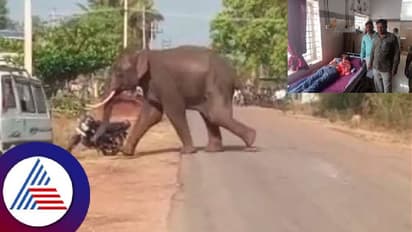 Wildlife: ಚನ್ನಗಿರಿಯಲ್ಲಿ ಕಾಡಾನೆ ಆತಂಕ: ಗ್ರಾಮಸ್ಥರು ಎಚ್ಚರಿಕೆ ಇರುವಂತೆ ಅರಣ್ಯ ಇಲಾಖೆ ಸೂಚನೆ  