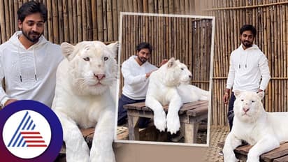 Mukhesh Gowda : ಬ್ಯಾಂಕಾಕ್‌ನಲ್ಲಿ ಬಿಳಿ ಹುಲಿ ಜೊತೆಗೆ ಹೊಂಗನಸು ಸೀರಿಯಲ್ ರಿಷಿ ಸರ್!