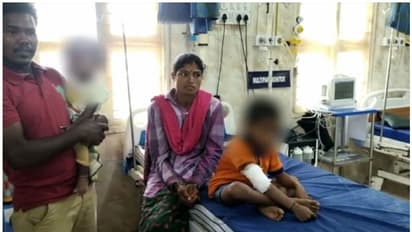 വാൽപ്പാറ മലക്കപ്പാറ അതിർത്തിയിൽ പുലിയുടെ ആക്രമണം; അഞ്ച് വയസുകാരന് പരിക്ക്