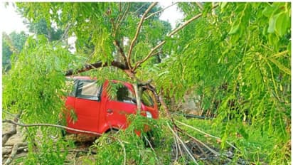 കാറ്റും മഴയും; കുട്ടനാട്ടിൽ വ്യാപക നാശനഷ്ടം