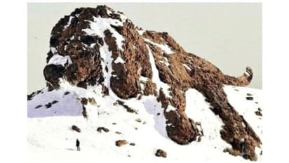 മഞ്ഞുരുകിയപ്പോള് കണ്ടത് നായയെയോ അതോ ദിനോസറിനെയോ? കാഴ്ചയെ കബളിപ്പിക്കുന്ന ചിത്രം വൈറല്