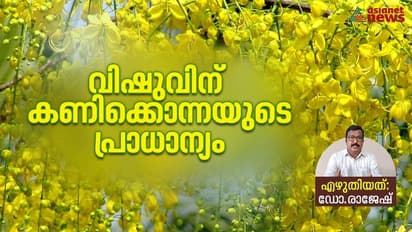 Vishu 2023 : വിഷുക്കണിയിൽ കൊന്നപ്പൂവിന്റെ പ്രാധാന്യമെന്ത്?