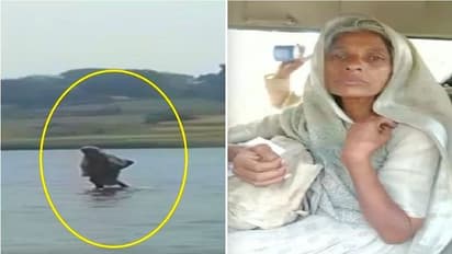 நடு ஆற்றில் நடந்த அதிசய பெண்.. கடவுளை பார்க்க குவிந்த பொதுமக்கள் - கடைசியில் நடந்த ட்விஸ்ட்