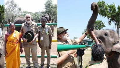 ఎలిఫెంట్ విష్పరర్స్ ఏనుగులతో ప్రధాని మోదీ, మావాటి దంపతులను అభినందించిన ప్రధాని