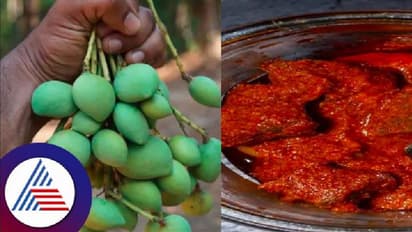 ಸಿಲಿಕಾನ್ ಸಿಟಿಯಲ್ಲಿ ಮೊದಲ ಬಾರಿ ಅಪ್ಪೆಮಿಡಿ ಮೇಳ! 