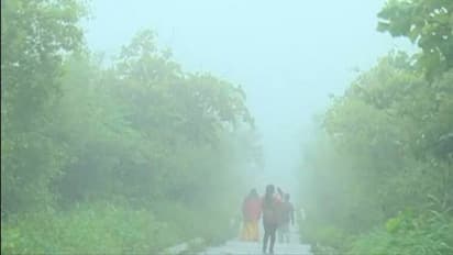 ಬೇಸಿಗೆಯಲ್ಲಿ ಮಕ್ಕಳನ್ನು ಎಲ್ಲಿ ಕರ್ಕೊಂಡೋಗೋದು ಅಂತ ಯೋಚಿಸ್ತಿದ್ದೀರಾ... ಇಲ್ಲಿದೆ Best Destination