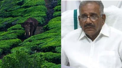 'ഇടതുകാലിലെ മന്ത് വലതുകാലിലേക്ക് മാറ്റുന്നത് പോലെ' അരിക്കൊമ്പനെ പറമ്പിക്കുളത്തേക്ക് മാറ്റുന്നതിനെതിരെ മന്ത്രി 