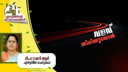 Malayalam Short Story : വളവ് തിരിയുമ്പോള്, ദീപാ റാണി ആര് എഴുതിയ ചെറുകഥ