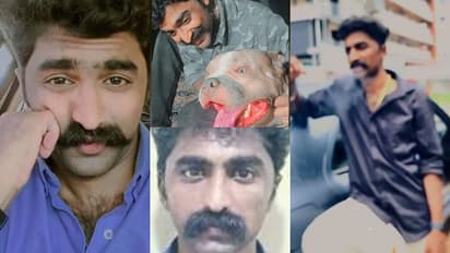 '30-കെ' ഫോളോവേഴ്സുള്ള മീശക്കാരൻ, 'ഇള്ളോളമല്ല', പേരിലുള്ളവയെല്ലാം 'മുട്ടൻ' കേസുകൾ, ഒടുവിൽ 'സീനായി' കവര്ച്ചയും