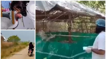 വനംവകുപ്പിന്‍റെ കൂട്ടില്‍ക്കിടക്കുന്ന സുഹൃത്തിനെ സന്ദര്‍ശിച്ച് ആരിഫ്; ഉള്ളകം നീറുന്ന കാഴ്ചയെന്ന് നെറ്റിസണ്‍സ്