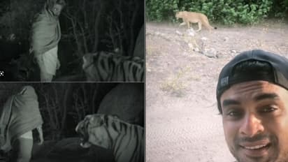 'പുഷ്പ' കടുവയെ ഇറക്കി, 'മിന്നൽ മുരളി' സിംഹത്തെയും; ടൊവിനോയുടെ വീഡിയോ വൈറൽ