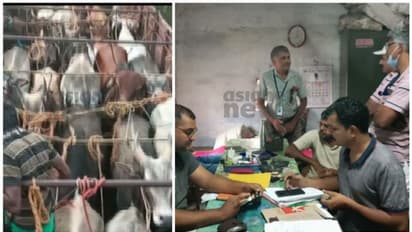 ഓടിനടിയിലും വാഴപ്പോളയിലും കൈക്കൂലിപ്പണം; പാലക്കാട്ട് വിജിലൻസ് റെയ്ഡ്, മൃഗസംരക്ഷണ വകുപ്പ് ഉദ്യോഗസ്ഥർ കുടുങ്ങി