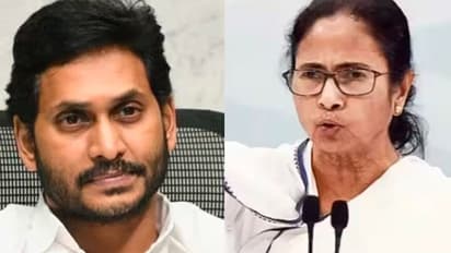 510 ಕೋಟಿ  ಆಸ್ತಿಯೊಂದಿಗೆ  ಆಂಧ್ರದ ಜಗನ್ ದೇಶದ ಅತ್ಯಂತ ಶ್ರೀಮಂತ ಸಿಎಂ: ದೀದೀ ಆಸ್ತಿ ಎಷ್ಟು?