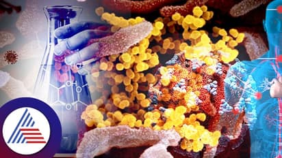 Corona Virusನಿಂದಲೂ ಬರಬಹುದು ಸಾವು! ರಕ್ತದಲ್ಲಿಯೇ ಗೊತ್ತಾಗುತ್ತೆ 