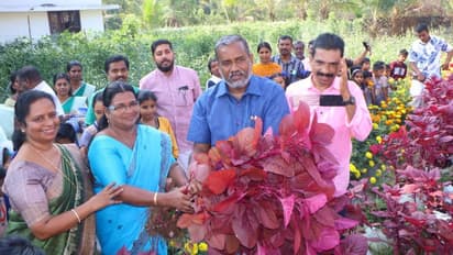 വിഷുക്കാല പച്ചക്കറികളുമായി മുഹമ്മ സി എം എസ് എൽ പി സ്കൂള്, കൃഷിക്ക് ഇവിടെ അവധിയില്ല