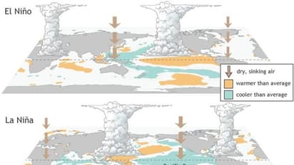இந்த ஆண்டில் சூப்பர் எல்-நினோ அபாயம்! காலநிலை மாற்ற விஞ்ஞானிகள் எச்சரிக்கை