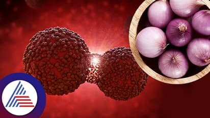 Health Tips: ಕ್ಯಾನ್ಸರ್ ವಿರುದ್ಧ ಹೋರಾಡುವ ಈರುಳ್ಳಿ ಹೆಚ್ಚು ತಿಂದ್ರೂ ಅಪಾಯ!