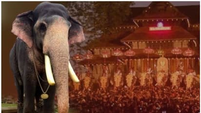 തൃശ്ശൂര്‍ പൂര വിളംബരം; തെച്ചിക്കോട്ടുകാവ് രാമചന്ദ്രനെ പരിഗണിച്ചില്ല, ഇക്കുറിയും തിടമ്പേറ്റുക എറണാകുളം ശിവകുമാർ