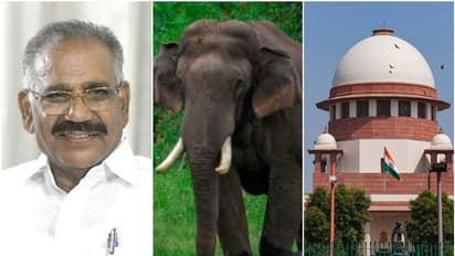 അരിക്കൊമ്പന് വിഷയം: തിങ്കളാഴ്ച തന്നെ സുപ്രീംകോടതിയെ സമീപിക്കുമെന്ന് മന്ത്രി