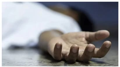 അട്ടപ്പാടിയിൽ ആദിവാസിയെ കാട്ടാന ചവിട്ടിക്കൊന്നു