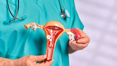 From leafy greens vegetables to Probiotics-6, food items to have healthy uterus