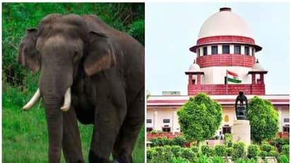 അരിക്കൊമ്പൻ 'മിഷൻ'; ഹൈക്കോടതി ഉത്തരവിനെതിരെ കേരളം സുപ്രീംകോടതിയിൽ, തടസഹർജിയുമായി മൃഗസ്നേഹികളുടെ സംഘടന