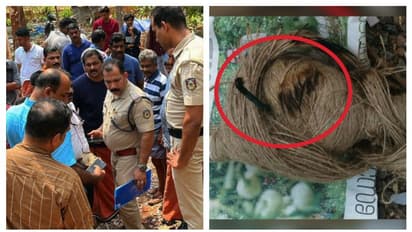 കണ്ണൂർ മയ്യിലിൽ വീടിന് പിറകിൽ സ്ഫോടക വസ്തു കണ്ടെത്തി