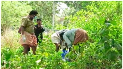 ഭിന്നശേഷിക്കാരനെ പെട്രോൾ ബോംബെറിഞ്ഞ് കൊലപ്പെടുത്തി; പ്രതി രണ്ട് വർഷത്തിനു ശേഷം തൂങ്ങിമരിച്ച നിലയിൽ