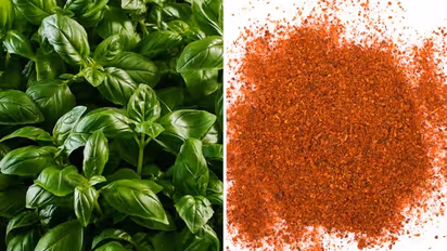 Here are three herbs to make your summers more energized