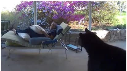 Viral Video: വീടിന് പുറത്ത് ഇരിക്കുമ്പോൾ വന്ന അതിഥിയെ കണ്ട് ഞെട്ടി; ഒത്ത ഒരു കരടി!