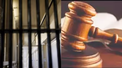 ഏഴാം ക്ലാസിൽ പഠിക്കുന്ന 3 വിദ്യാർഥിനികൾക്ക് സ്ഥിരം ശല്യം, ലൈംഗിക ചുവയുള്ള സംസാരം; 20കാരനെ ശിക്ഷിച്ച് കോടതി