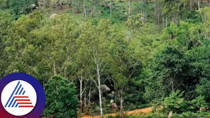 ಬೆಂಗಳೂರು: ತುರಹಳ್ಳಿ ಅರಣ್ಯ ಪಕ್ಕದ ಬಿಡಿಎ ಸೈಟ್ಗಳಿಗೆ ಕಂಟಕ