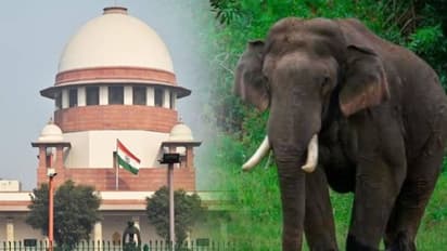 അരിക്കൊമ്പൻ കേസിൽ കേരളത്തിന് തിരിച്ചടി, ഹർജി സുപ്രീം കോടതി തള്ളി