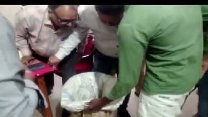 ഭാര്യയെ പാമ്പ് കടിച്ചു, കടിച്ച പാമ്പിനെ സഞ്ചിയിലിട്ട് ആശുപത്രിയിലെത്തിച്ച് ഭർത്താവ്