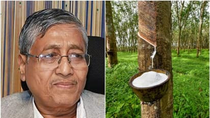 റബർ വില 300 രൂപയാകുമോ എന്ന് ചോദ്യം; ഒന്നും പറയാനാകില്ലെന്ന് റബർ ബോർഡ് ചെയർമാൻ