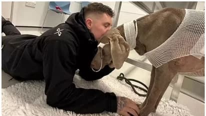 20 ലക്ഷത്തിന്‍റെ വെറ്ററിനറി ബില്ല്; നായയെ സംരക്ഷിക്കാന്‍ വീട് വില്‍ക്കാനൊരുങ്ങി യുവാവ് 