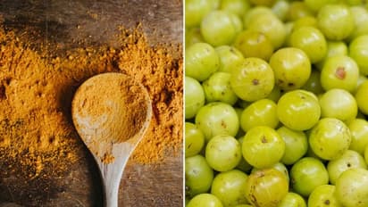 Here are three incredible Ayurvedic herbs to make your skin radiant in summers