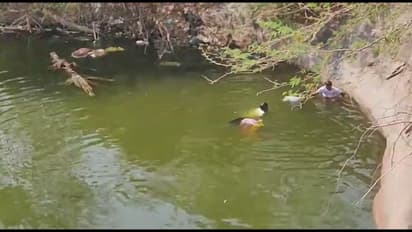 கோவையில் கடன் தொல்லை தாங்காமல் வயதான தம்பதி தற்கொலை