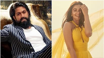 ಅವರ ಜೊತೆ ಹೆಚ್ಚು ಮಾತಾಡಿಲ್ಲ ಆದರೆ...: KGF ಸ್ಟಾರ್ ಯಶ್ ಬಗ್ಗೆ ಪೂಜಾ ಹೆಗ್ಡೆ ಹೇಳಿದ್ದು ಹೀಗೆ