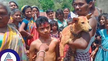 ಇವ್ರಿಗೇನ್ ತಲೆಕೆಟ್ಟಿದ್ಯಾ..ಬೀದಿ ನಾಯಿ ಜೊತೆ ಮಕ್ಳ ಮದ್ವೆ ಮಾಡ್ತಿದ್ದಾರಪ್ಪೋ!