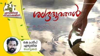 Malayalam Short Story : ശലഭദൂരങ്ങള്, കെ പ്രദീപ് എഴുതിയ ചെറുകഥ