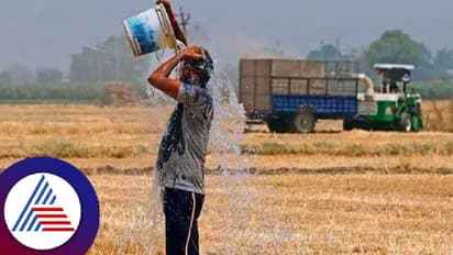 ಕರ್ನಾಟಕದಲ್ಲಿ ಬಿಸಿಲಿನ ಝಳಕ್ಕೆ 2 ಸಾವು,  521  ಹೀಟ್‌ ಸ್ಟ್ರೋಕ್‌ ಪಕರಣ ದಾಖಲು!