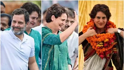 അയോഗ്യത മാറാതെ രാഹുൽ, വയനാട് ഉപതെരഞ്ഞെടുപ്പ് ഉറപ്പോ? കന്നിയങ്കത്തിന് പ്രിയങ്ക ഗാന്ധി എത്തുമോ?