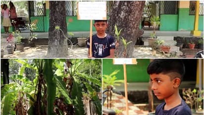 അത്യപൂർവ്വ സമരം, സ്കൂൾ ലീഡറുടെ ഒറ്റയാൾ പോരാട്ടം, ഒപ്പം പ്ലക്കാർഡും; ആവശ്യം ഒന്നേ ഒന്ന്! വാഴക്കുല