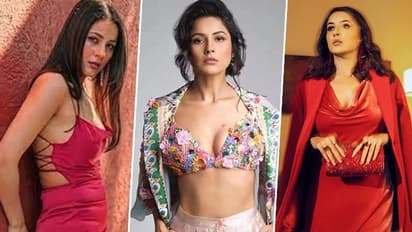 ಡುಮ್ಮಿ ಎಂದು ಬಾಡಿ ಶೇಮಿಂಗ್ಗೆ ಒಳಗಾಗಿದ್ದನ್ನು ನೆನೆದ ನಟಿ Shehnaaz Gill